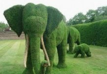 elefante d'erba sculture erba