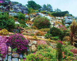 giardino roccioso