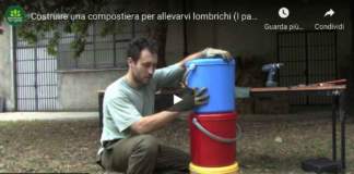 compostaggio_lombrichi1