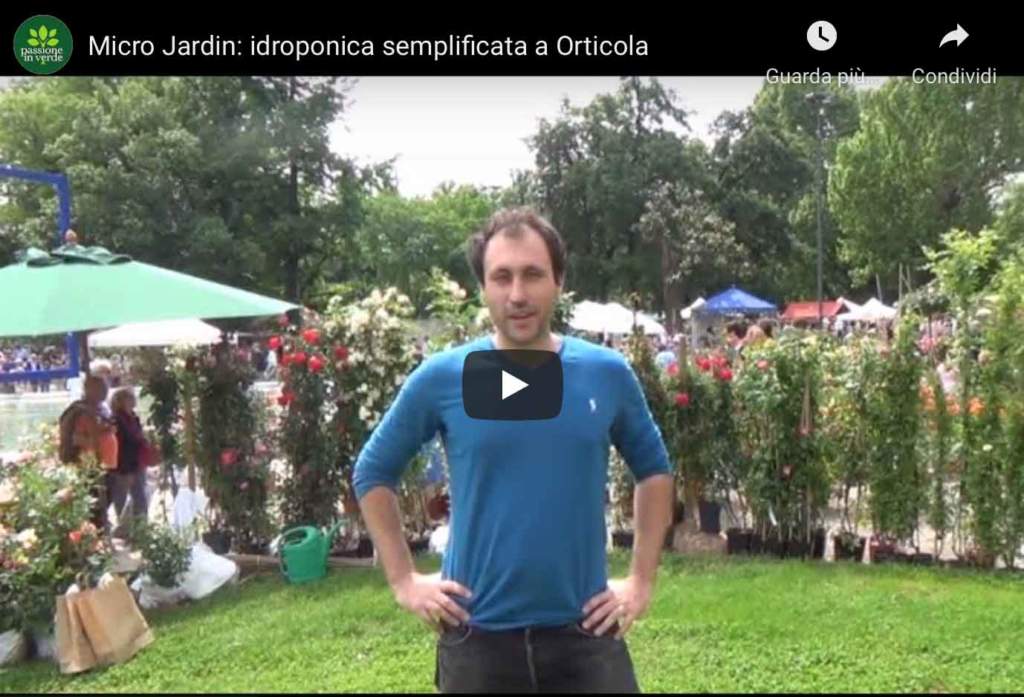 microjardin_idroponica_orticola