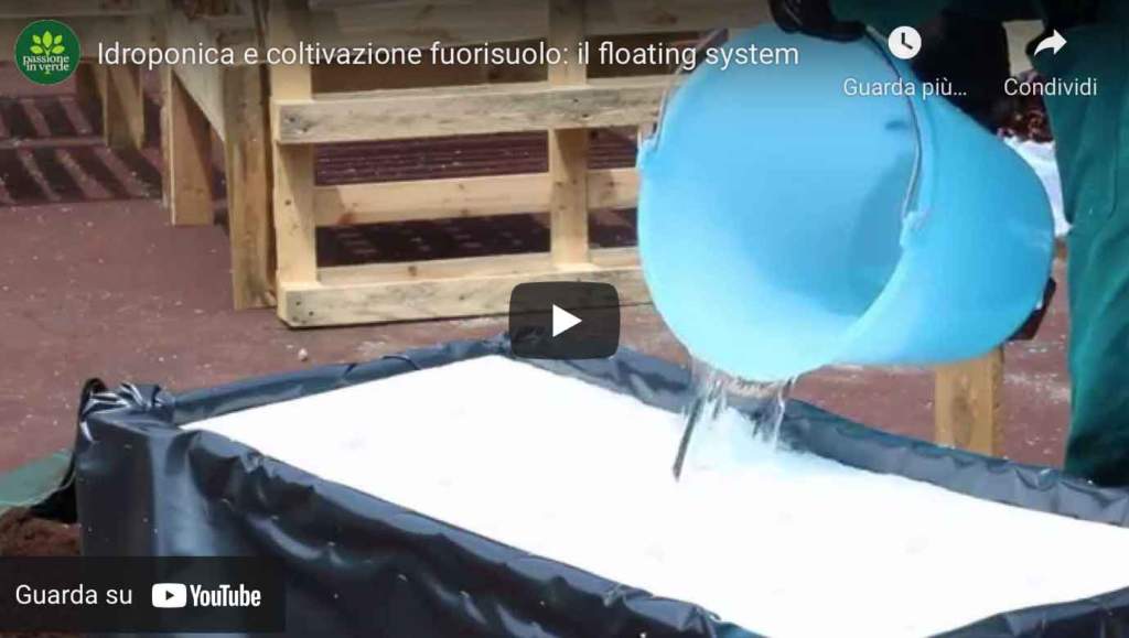 video_idroponica_floating_system