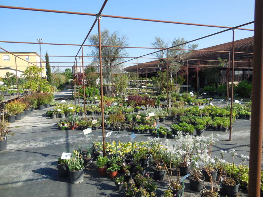 vivaio, garden center