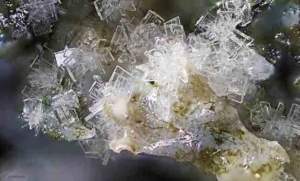 difesa piante cristalli zeolite