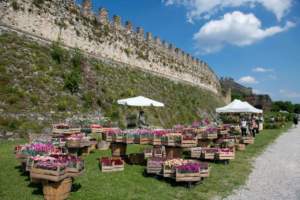 mostre mercato giardinaggio fiori rocca