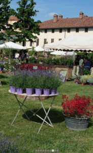 mostre mercato giardinaggio cusago in fiore