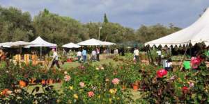 mostre mercato giardinaggio landriana