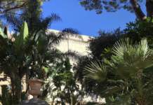 giardino tropicale palme