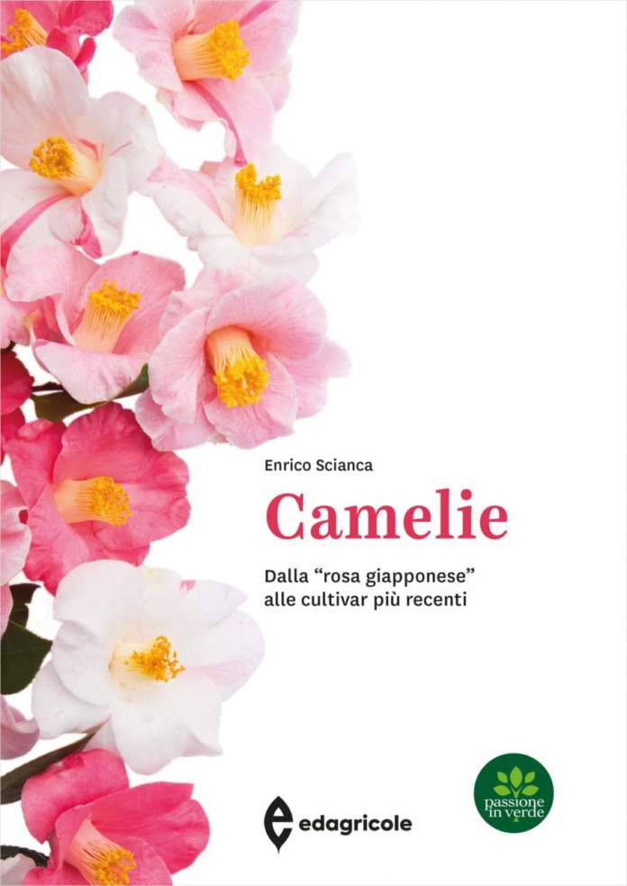 libro camelie